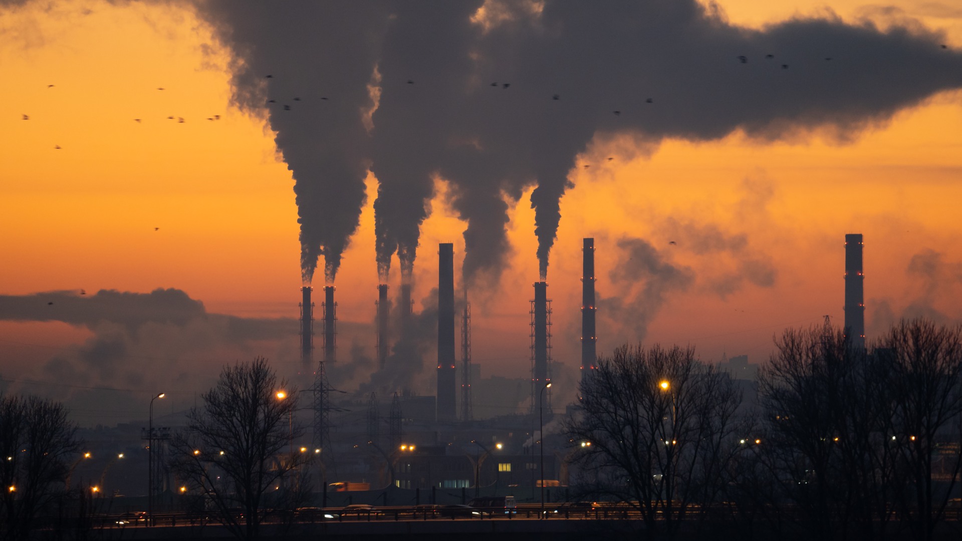 Air Pollution in Cities – Sources, Effects, & Solutions
